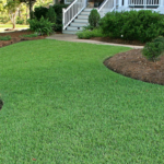 A lawn that has been cut and is ready for the yard.