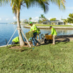 A group of people working on the side of a tree.