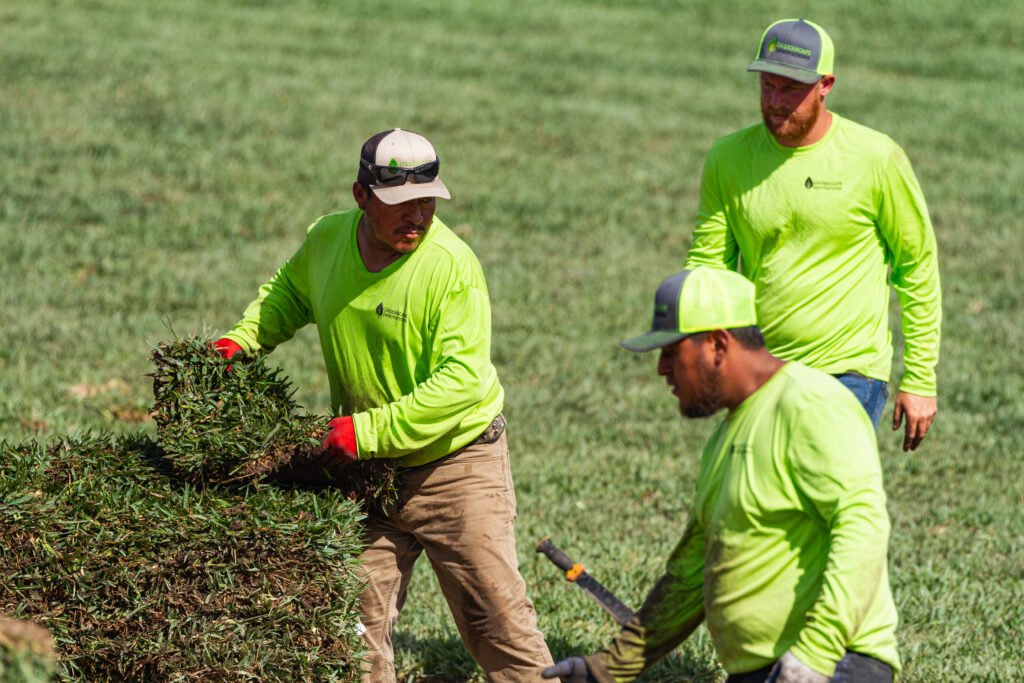 A group of men in green shirts and hats working on grass.