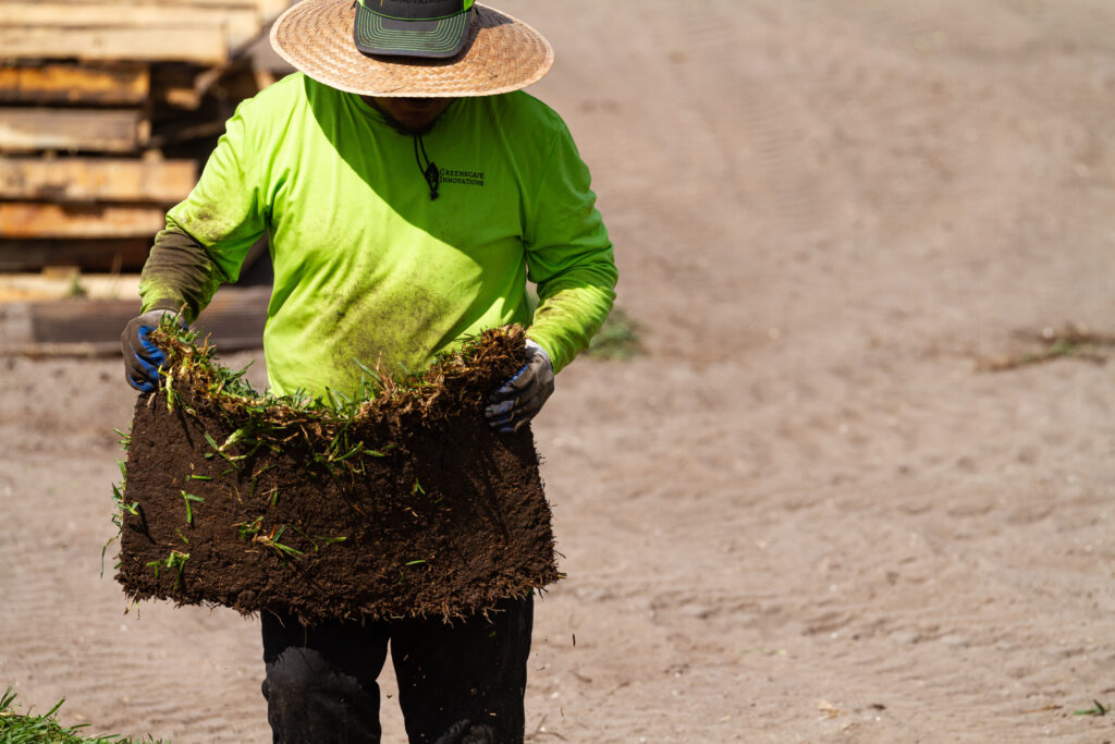 A person in green shirt holding a pile of grass.