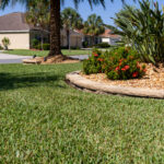 A yard with grass and flowers in the middle of it.