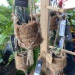 A plant stand with several hanging plants on it.