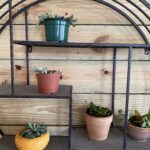 A shelf with plants and pots on it
