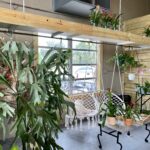 A room filled with lots of plants and furniture.