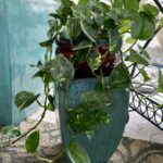 A blue vase with some green plants in it