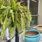 A blue pot sitting on the ground next to a plant.