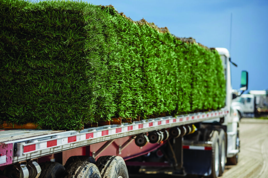 A truck with a trailer full of green plants.