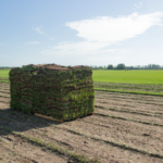 A large pile of grass sitting in the middle of an open field.