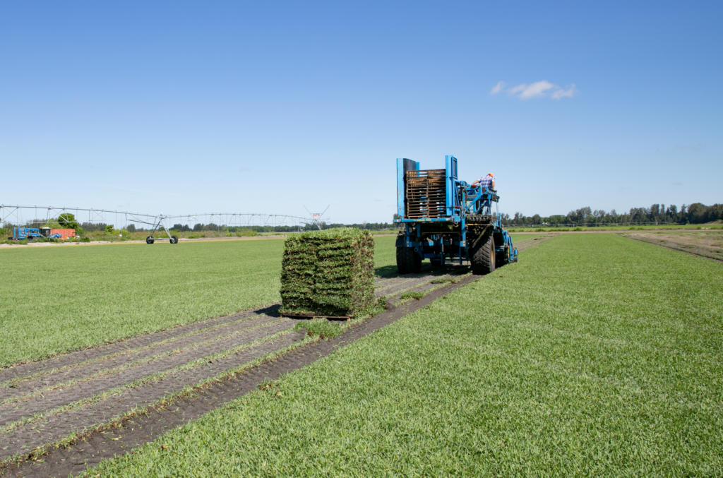 A tractor pulling a trailer full of hay.