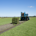 A tractor pulling a trailer full of hay.