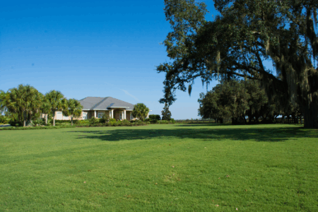 A large green field with trees and houses in the background.
