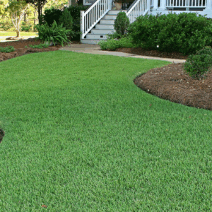 A lawn that has been cut and is ready for the yard.