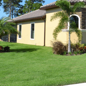 A yellow house with palm trees and bushes in the yard.