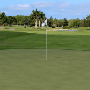 A golf course with trees and grass in the background.
