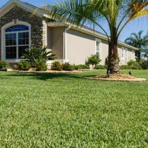 A house with palm tree and lawn in front of it.